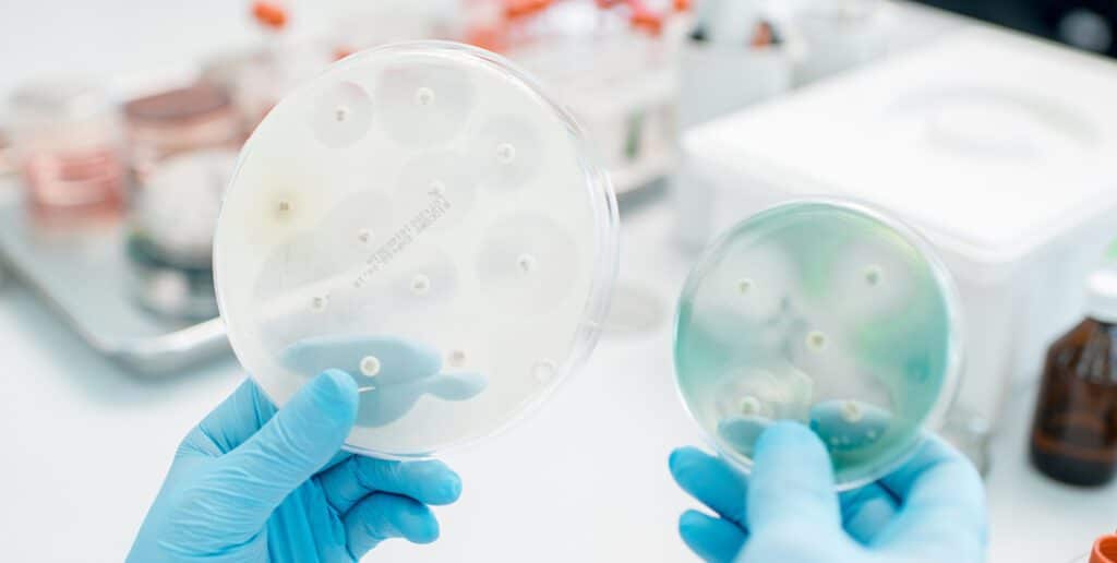 Antibacterial vs Antimicrobial Understanding the Difference